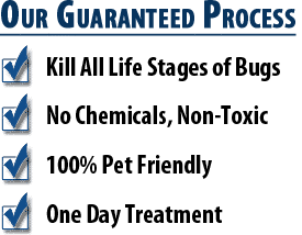 Scottsdale Bed Bug Heat Treatment Benefits