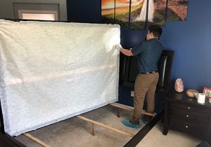 Scottsdale Bed bug Inspection