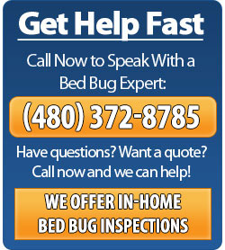 Call Phoenix Bed Bug Expert - (480) 351-0375
